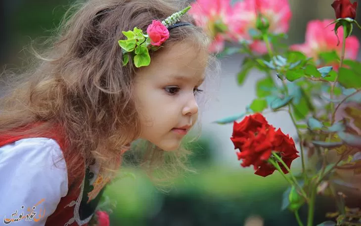 شعر زیبای گل سرخ و بلبل (خزان) از فریدون مشیری شاعر معاصر ایران