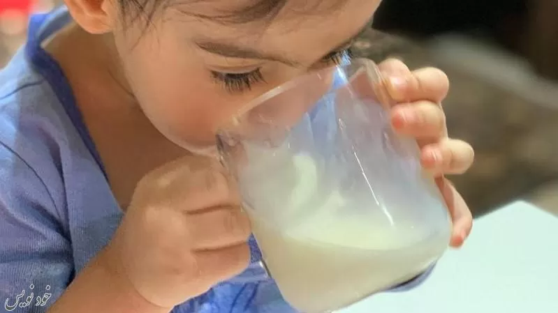 همه چیز راجع به شیر گاو شیر سویا و شیربرنج | باید و نباید های تغذیه کودک با شیر