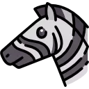 آپدیت گورخر گوگل! چطور با zebra رفیق باشیم؟ |آپدیت ها و الگوریتم های گوگل