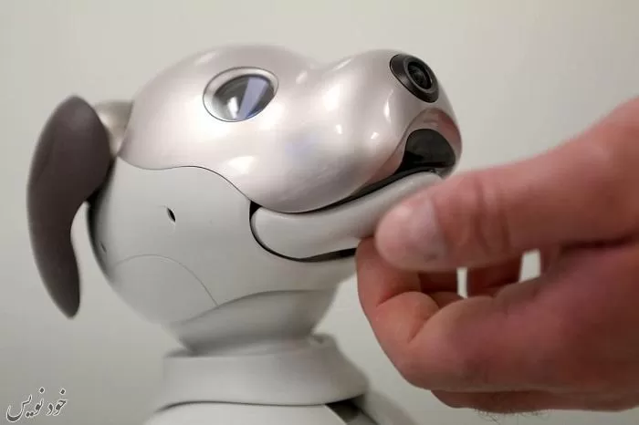 عجیبترین ربات های ساخت بشر را در سال 2020 بشناسید! + توانایی و ویژگی ها