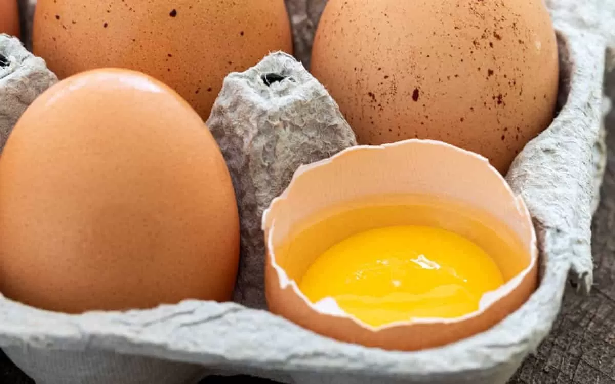 روش تشخیص تخم مرغ سالم از فاسد