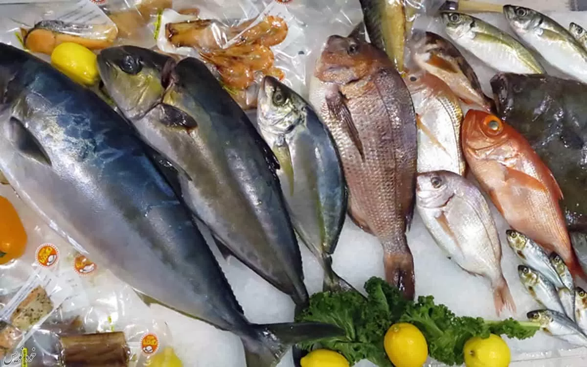راهنمای خرید ماهی تازه |چگونه بفهمیم ماهی فریز شده خراب شده؟| روش نگهداری