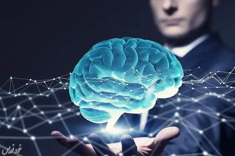 روزانه چند گیگابایت اطلاعات به مغز انسان میرسد |ظرفیت مغز انسان چقدر است؟