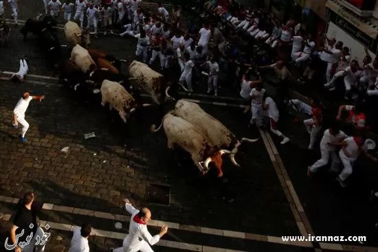 عکس های دیدنی جشن فرار از گاوهای وحشی ( فستیوال سن فرمین )