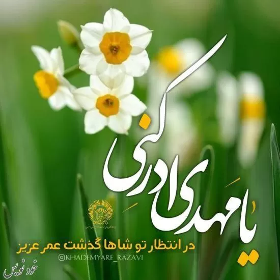 زیباترین متن ها و عکس های تبریک میلاد امام زمان + عکسنوشته