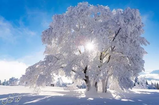 زیباترین متن های عاشقانه زمستانی و عکس های برفی برای پروفایل 