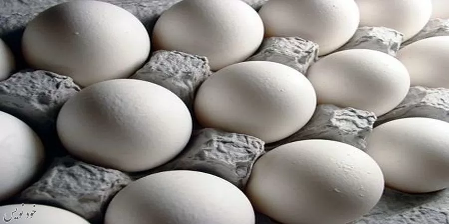 قیمت جدید تخممرغ در بازار چقدر است ؟