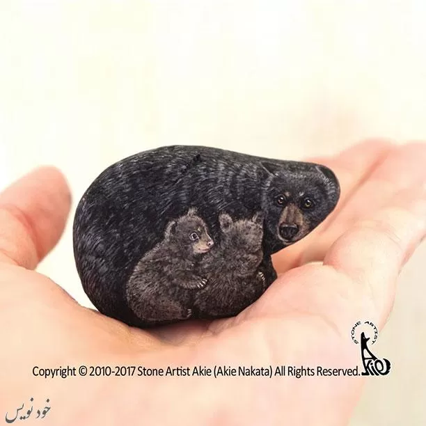 نقاشی حیوانات بر روی سنگ اثر هنرمند آکی ناکاتا 