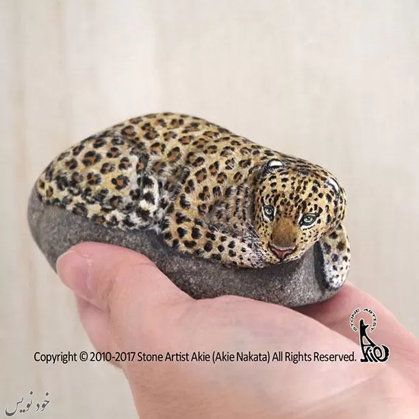 نقاشی حیوانات بر روی سنگ اثر هنرمند آکی ناکاتا 