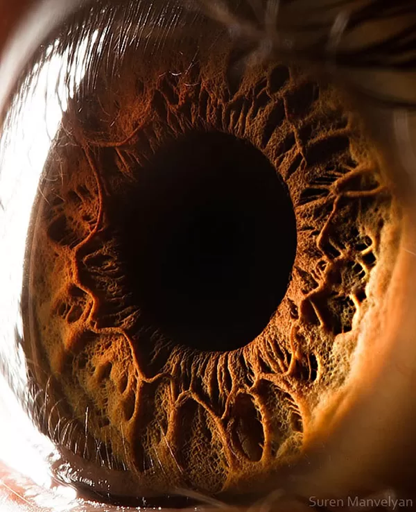 عکاسی ماکرو از عنبیه چشم انسان توسط سورن مانولیان