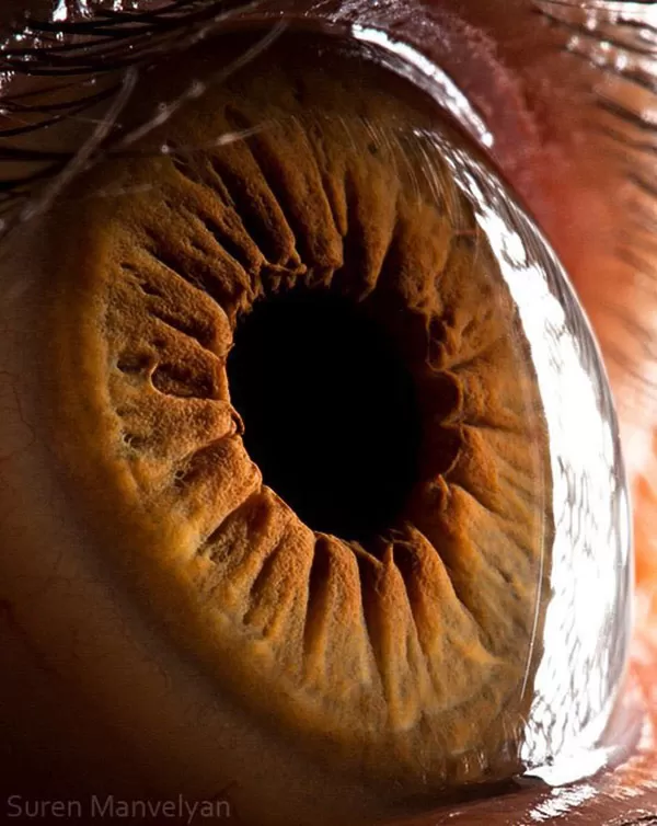عکاسی ماکرو از عنبیه چشم انسان توسط سورن مانولیان