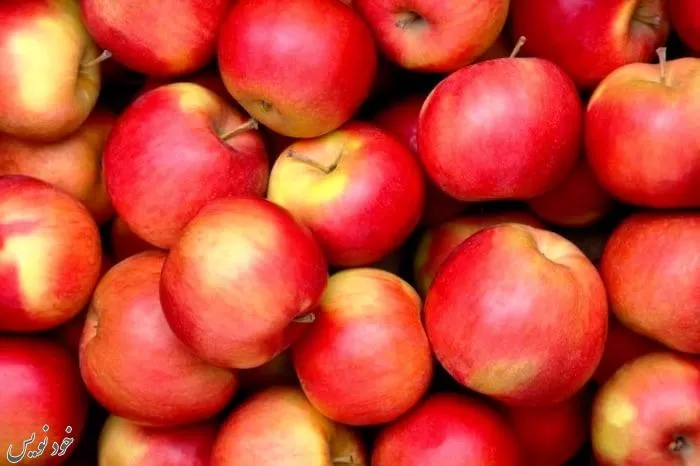 ۴ فایده سیب که هرگز درباره آنها نشنیدهاید! از طول عمر تا بهبود حافظه