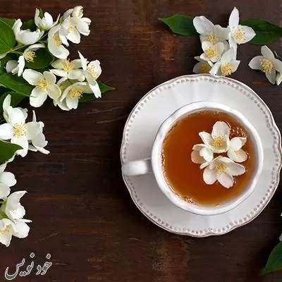 راجع به چای یاسمن چه می دانید؟ خواص شگفت انگیز چای یاسمن