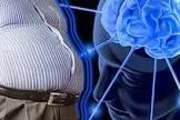 عملکرد مغز در رابطه با چاقی مؤثر است