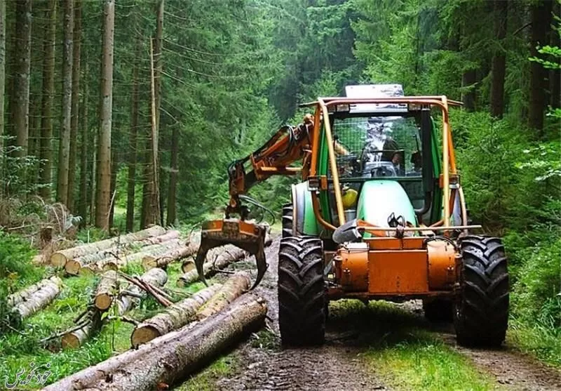 تخریب جنگلها و منایع طبیعی  با چرای دامها 