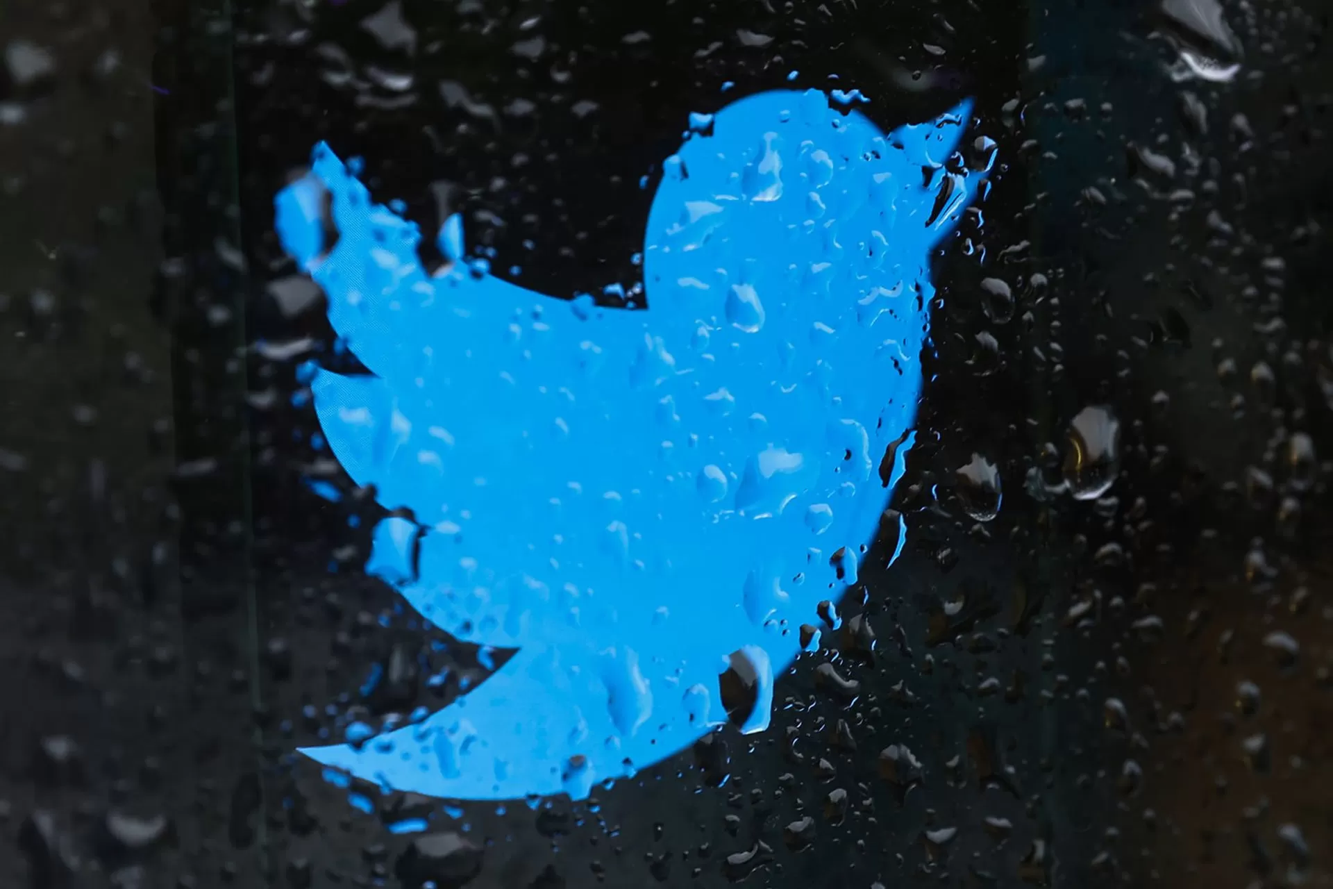 درآمد تبلیغاتی توییتر در ماه آذر بیش از ۷۰ درصد افت کرد