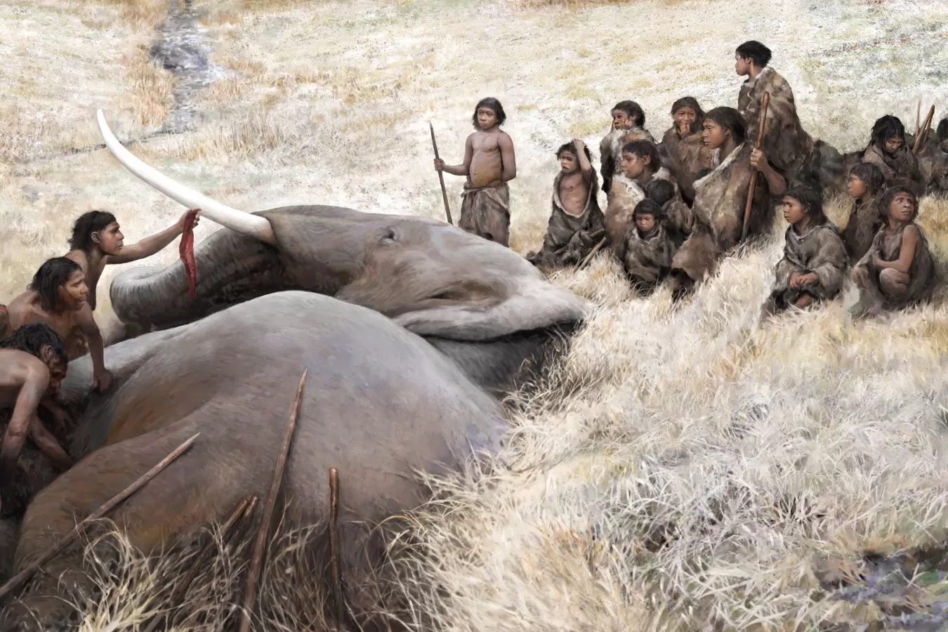 نئاندرتال‌ها در گروه‌های بزرگ فیل‌های غول‌پیکر را شکار می‌کردند