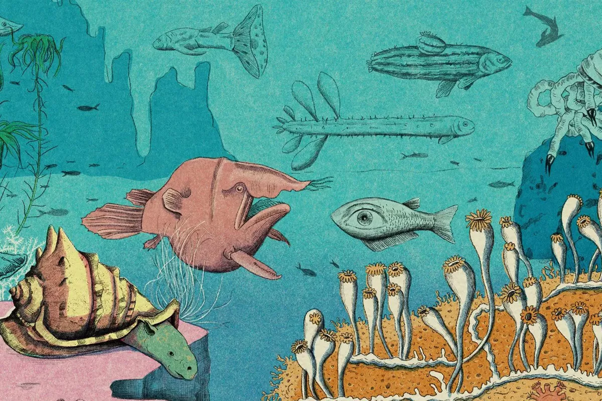 در جستجوی غول‌های ناشناخته‌: دانشمندان چگونه گونه‌های جدید اقیانوسی را شناسایی می‌کنند؟