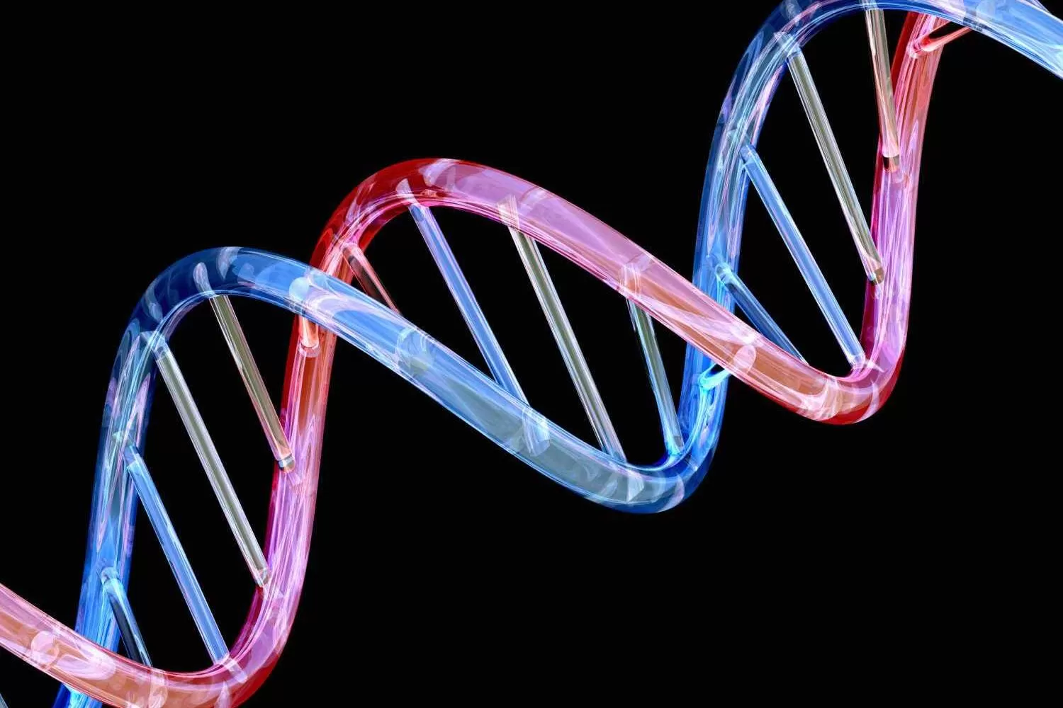 ژنتیک چگونه انتخاب‌های زندگی ما را تعیین می‌کند؟