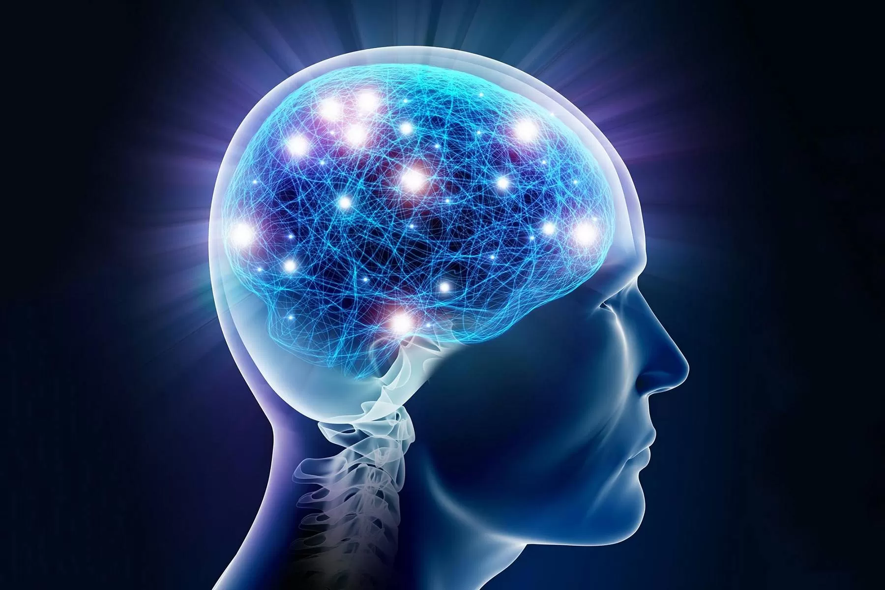 مغز چگونه بین خاطره و ادراک تمایز قائل میشود؟