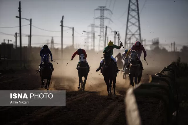 پایان مسابقات کورس اسب دوانی کشور در اهواز 