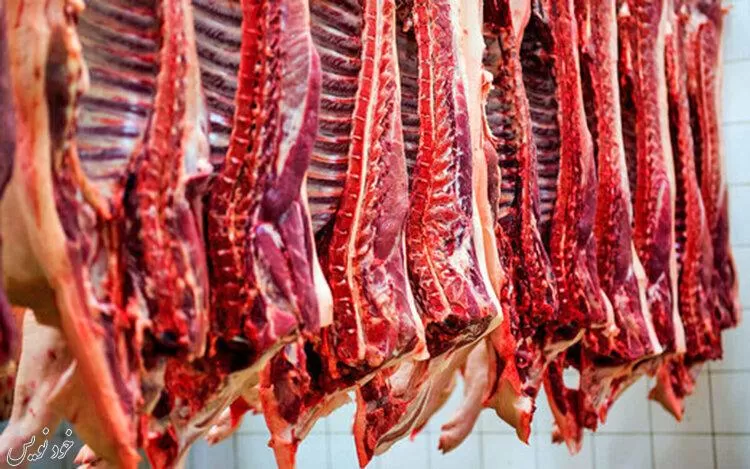 دام کیلویی ۸۰ هزار تومان را کسی نمیخرد/ گوشت کیلویی ۱۸۰ هزار تومان منطق ندارد |نرخ تورم مواد غذایی در خرداد ماه ۱۴۰۱ رکورد شکست