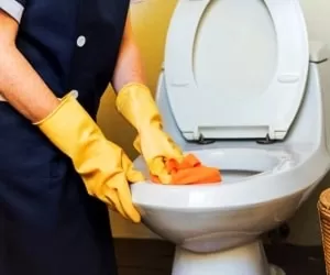 روش تمیز کردن توالت فرنگی با جرم گیری گیاهی و بسیار قوی