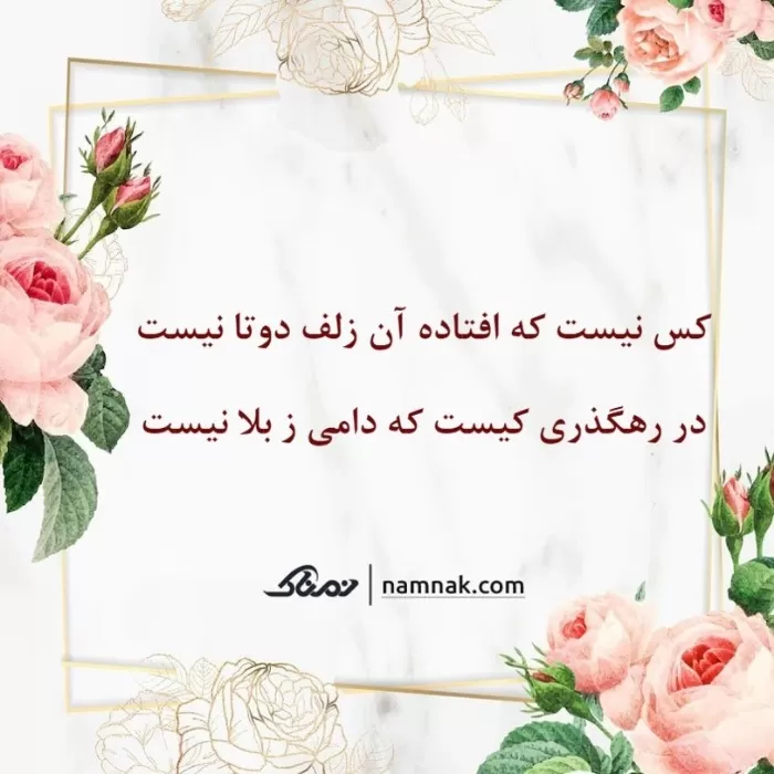 فال حافظ پلاس وی