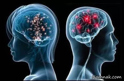 مغز زنان و مردان