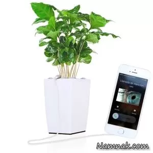 گیاهی که بدون برق گوشی موبایل را شارژ می کند