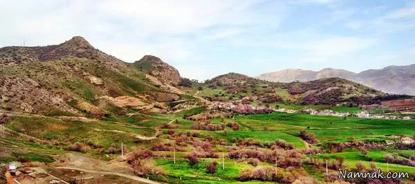 کوه برقلا