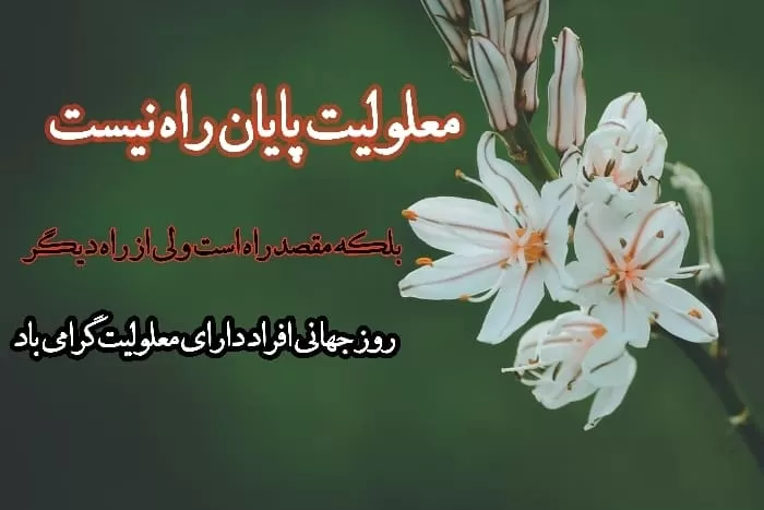 افراد دارای معلولیت