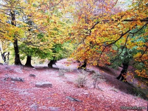 الاشت سوادکوه مازندران 