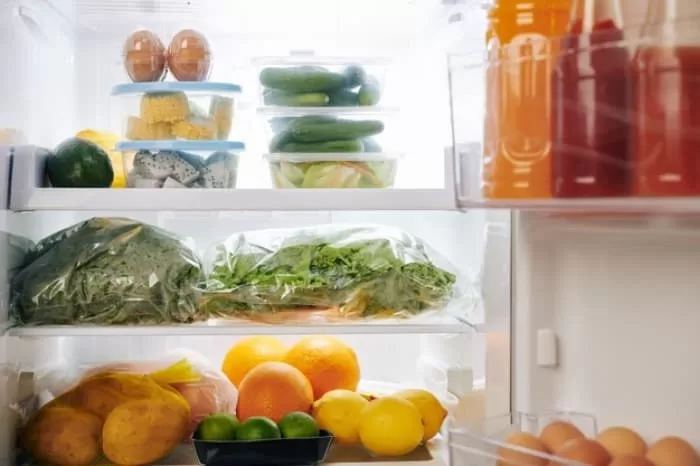 جلوگیری از فاسد شدن مواد غذایی یخچال