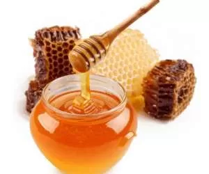 نکات کاربردی برای مراقبت از عسل در برابر مورچه ها