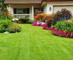 حیاط تکونی برای داشتن باغچه ای زیبا در ایام نوروز