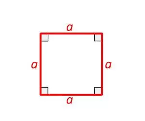 چگونه محیط و مساحت “مربع” را حساب کنیم؟