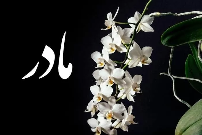 عید بدون مادر 