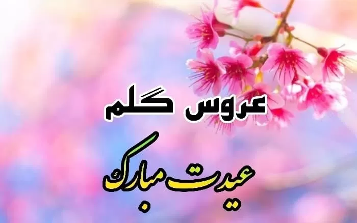 تبریک سال نو به عروس