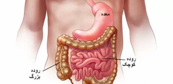 تشخیص سرطان روده 