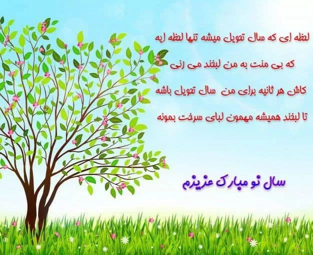 تبریک زیبای سال نو