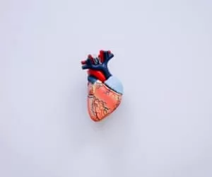 15 عادت روزانه شما که دشمنان بزرگ سلامت قلب هستند