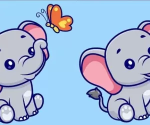 تفاوت این دوتا بچه فیل چیه؟ + جواب