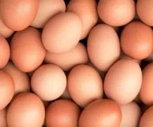 نکاتی که درباره تخم مرغ باید بدانید ؛ هم جالب هم مفید