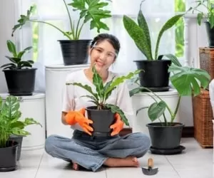 فواید باورنکردنی نگه داری گل و گیاه در خانه