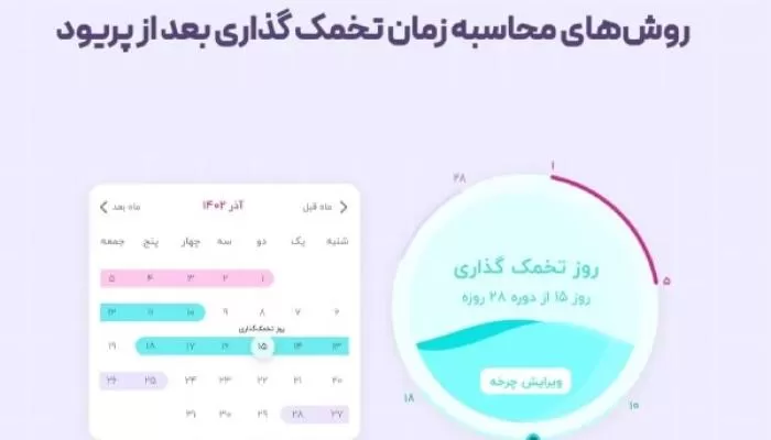 محاسبه زمان تخمک گذاری