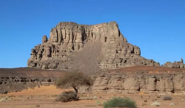 الجزایر