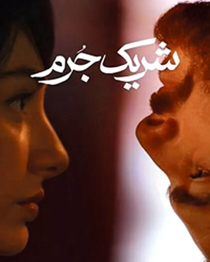 سریال شریک جرم