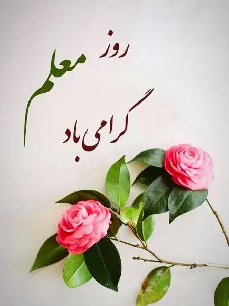 تبریک روز معلم