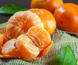 فواید پوست نارنگی؛ چرا پوست نارنگی اینقدر مهم شده؟